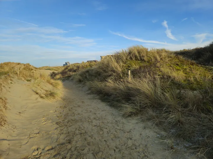 Oostnieuwkerke duinen wandeling in de koude (België)